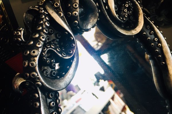Kraken official