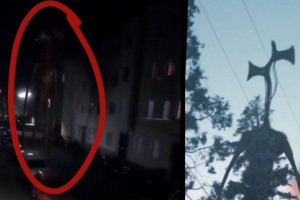 Что продают на кракене